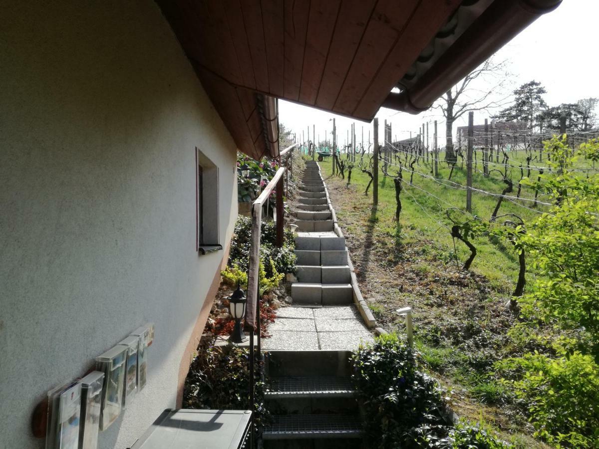 Penzion Nad Jezerem Pavlov Exterior photo
