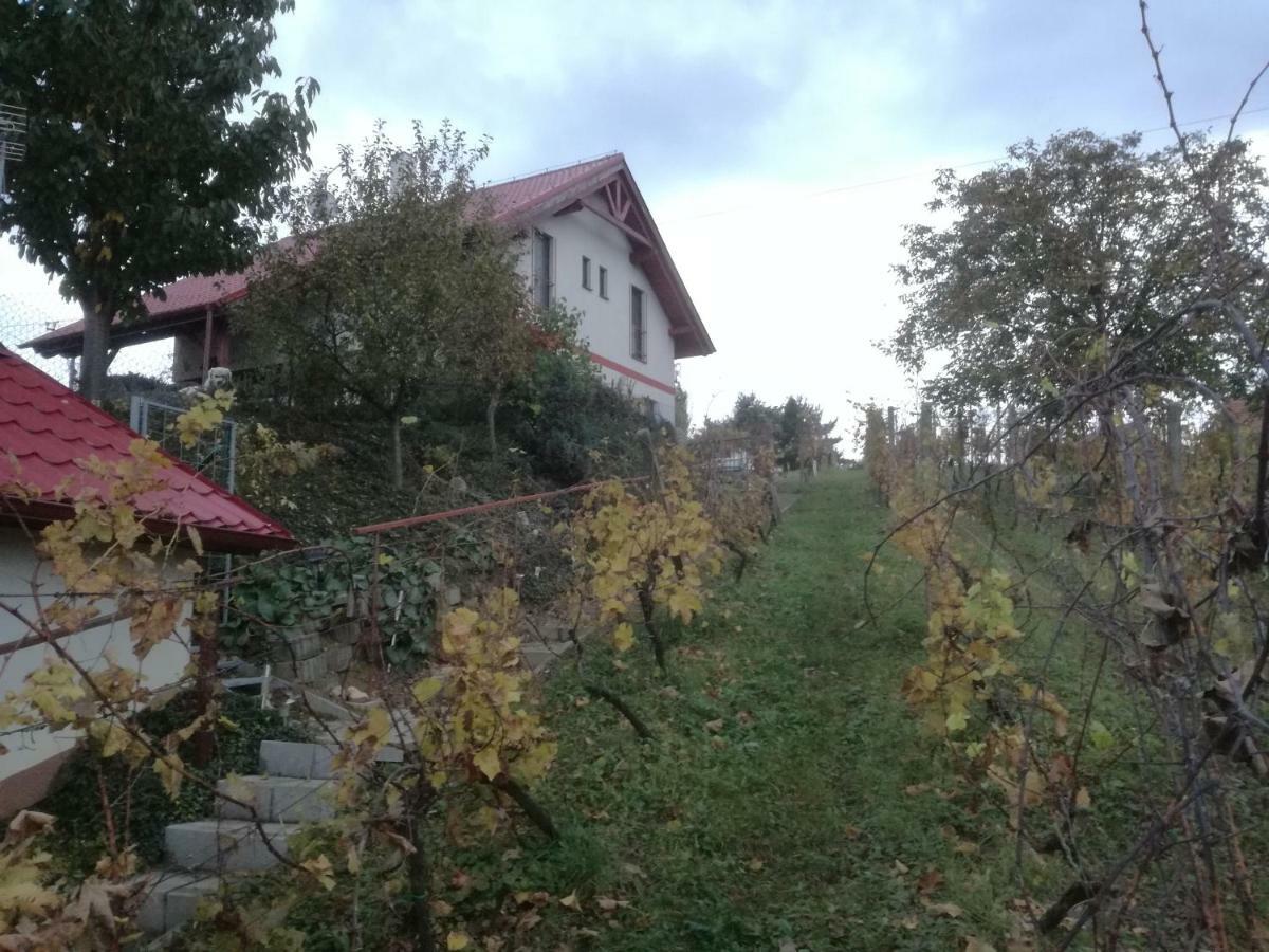 Penzion Nad Jezerem Pavlov Exterior photo